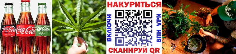 наркотики  Старая Русса  Canna-Cookies марихуана 