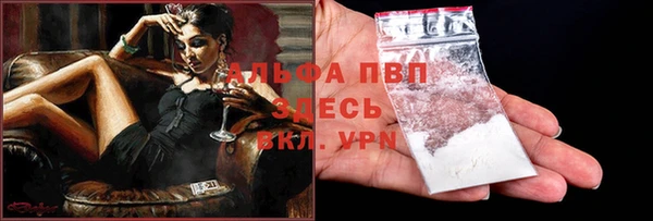 крисы Абаза