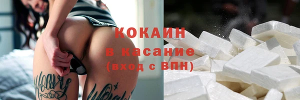 крисы Абаза