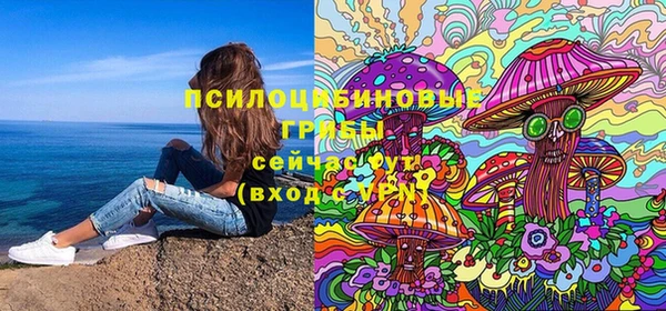 герыч Алексин