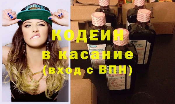крисы Абаза